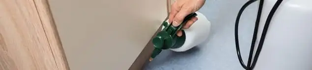 Bed bug exterminator treating baseboards and cracks with targeted spray in Springfield, MO