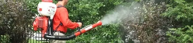 Mosquito control technician fogging shrubs and landscaping for mosquito treatment in Springfield, MO
