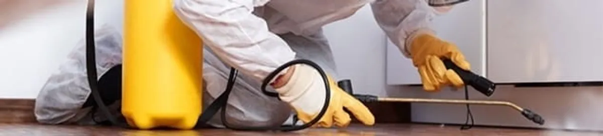 Roach exterminator treating cracks and crevices along kitchen baseboards in Springfield, MO