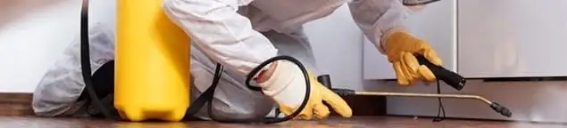 Roach exterminator treating cracks and crevices along kitchen baseboards in Springfield, MO