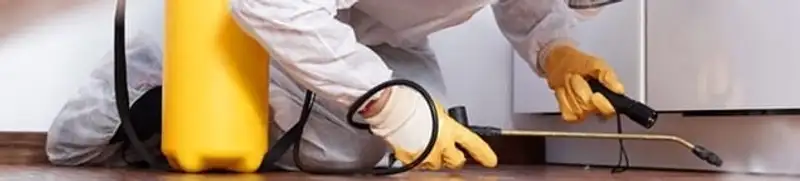 Roach exterminator treating cracks and crevices along kitchen baseboards in Springfield, MO