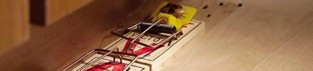 Rodent trap set indoors for rodent control and prevention in Springfield, MO